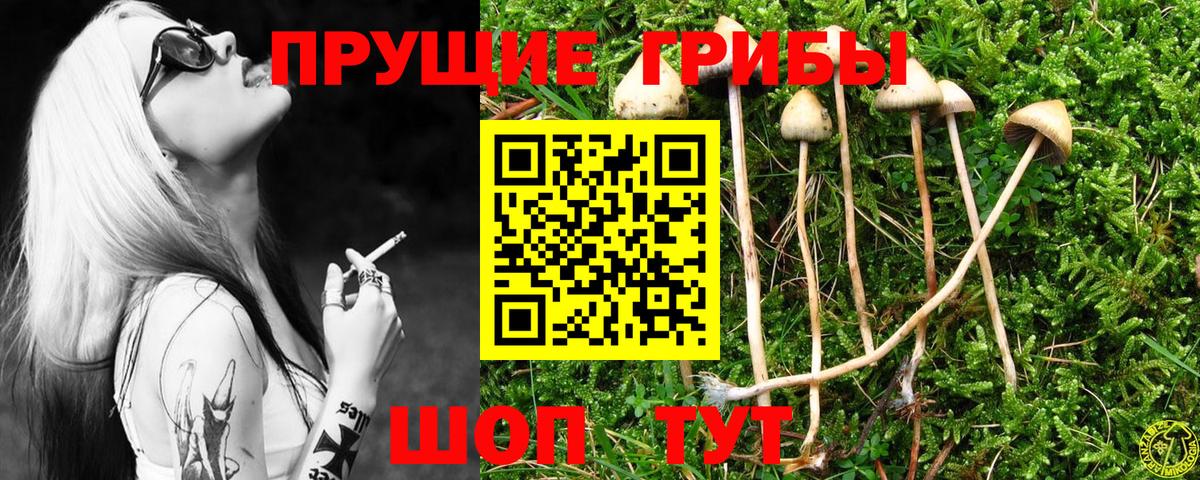 Галлюциногенные грибы Magic Shrooms Туймазы