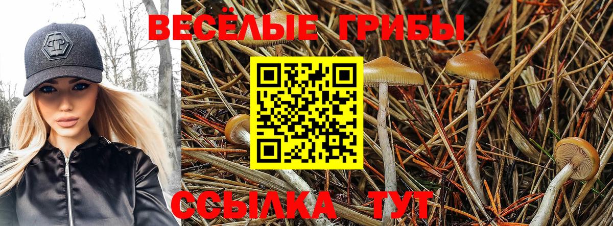 Псилоцибиновые грибы Psilocybe  Галлюциногенные грибы MAGIC MUSHROOMS  Вход с VPN  Туймазы 